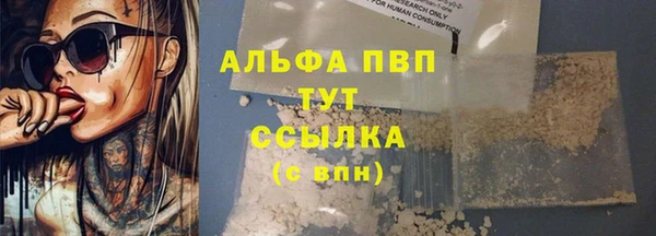индика Дмитров