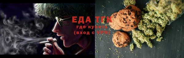 индика Дмитров