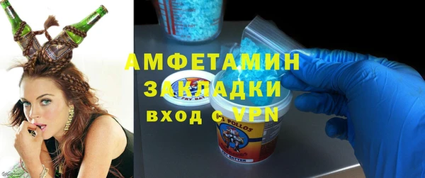индика Дмитров