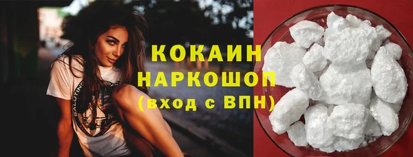 индика Дмитров