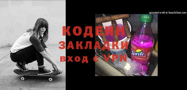индика Дмитров