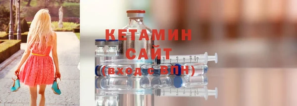 индика Дмитров