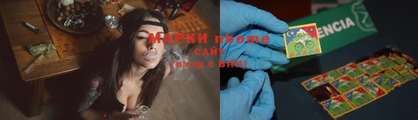 индика Дмитров