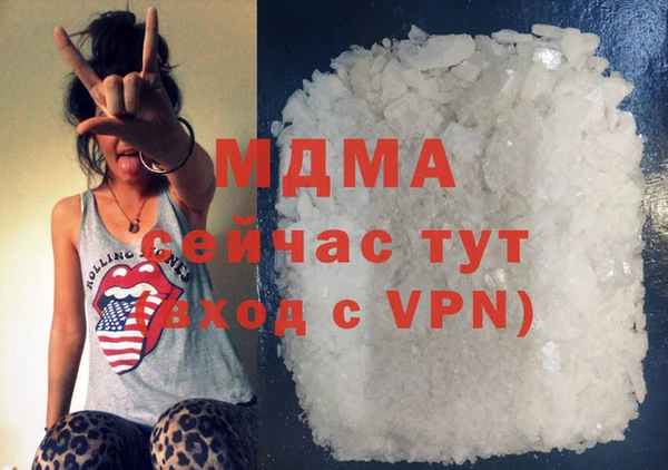 индика Дмитров