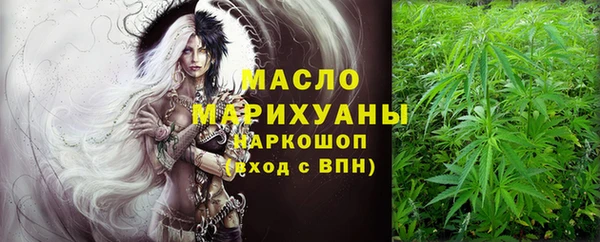 индика Дмитров