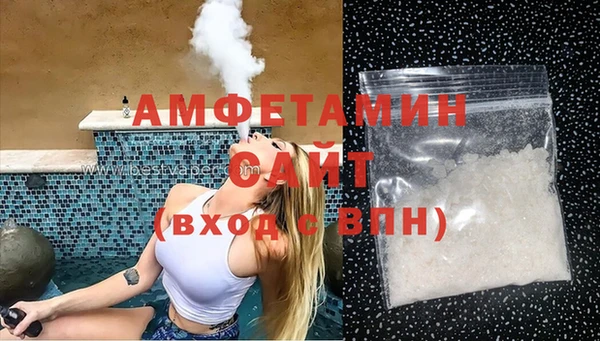 индика Дмитров