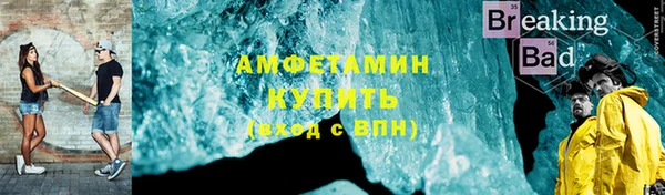 индика Дмитров