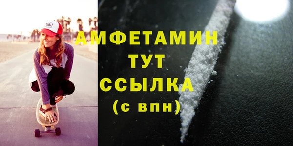 индика Дмитров