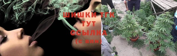 индика Дмитров